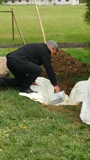 15.jfif