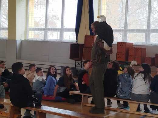 167f6cc4-d7bb-4fb6-9c1e-b5bc3461952a.jfif