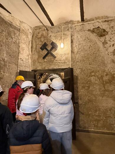 1cffa995-424c-488e-8c1e-2436c9d849ad.jfif