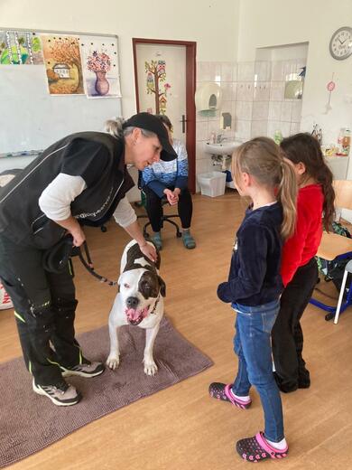 31c0b564-2a0f-42f6-b721-2e377c2191e9.jfif