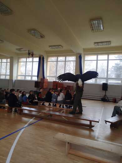 471e7597-38a1-4dff-887c-a9ced100457d.jfif