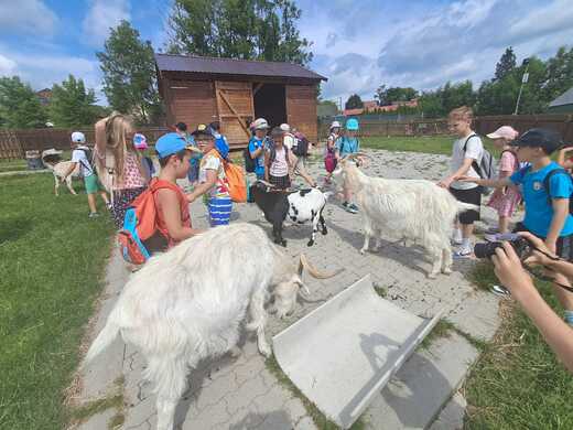 Zoo Tábor - 1. a 2. třída