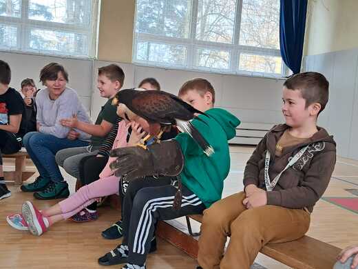 6d4259b0-adac-4b5c-bf3f-160a5095ab0b.jfif