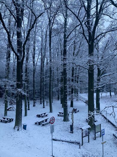 704cdba9-ba51-4086-bd9d-ec9868f92806.jfif