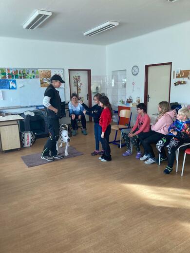 777c38e7-bf14-4cd6-9531-cfe38f3ecc80.jfif