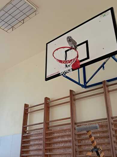 78f38823-40f7-4ffc-80f4-7907333ea01d.jfif