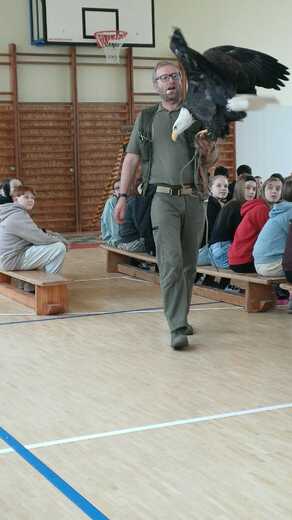 9563f708-30db-43ca-bfaa-d4d276a1dcfa.jfif