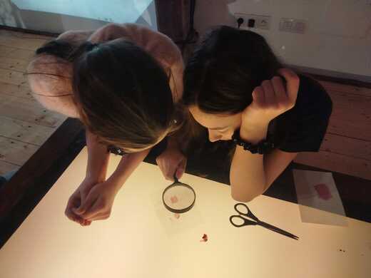 9feb09a6-fdae-4db2-942a-13cd36b4013f.jfif