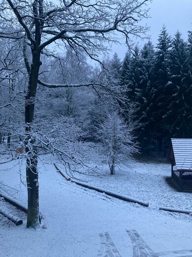 afca3199-bfed-40f8-8dcf-fff8e91faea2.jfif