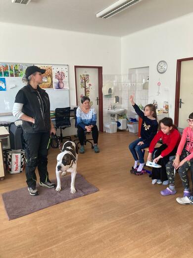 b00f9982-51fc-4b2d-a977-46a4248b6fd1.jfif