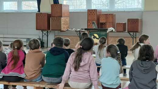 b1caa62b-ecf1-4220-afe0-5707be86aee7.jfif