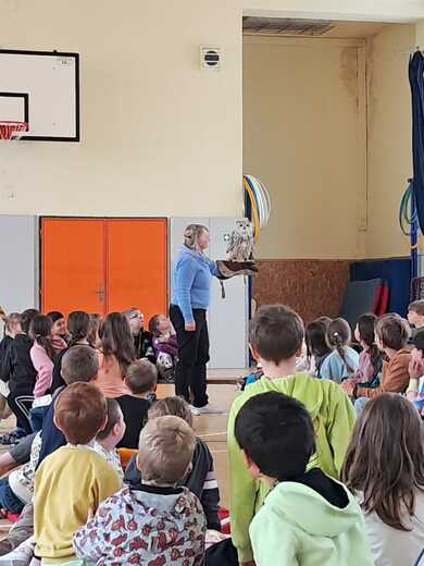 bcf960e3-0555-47c3-b9d4-5bcf80eb16a0.jfif