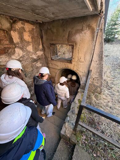 cd1e8222-4762-4245-acd4-4d6f6831201c.jfif