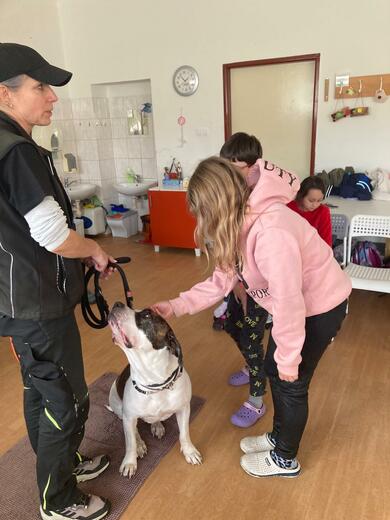 dd8389a8-fec5-41e9-8e21-837e874480e6.jfif