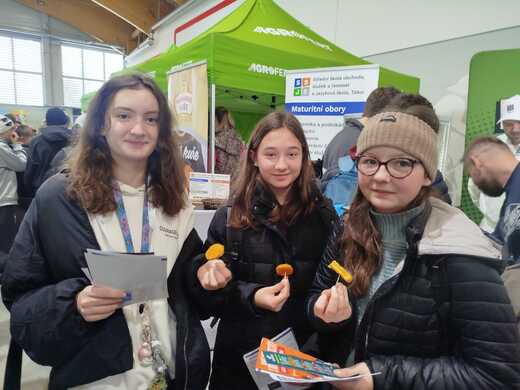 e71d645c-68a8-4b1d-afd6-09e0e9191f56.jfif