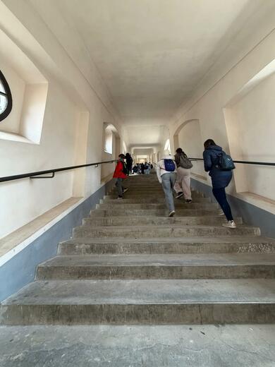 f32de8df-0d78-4f87-8541-844ff8964440.jfif