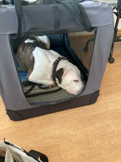 f351210b-3438-4d35-8c72-24dbdfe66011.jfif