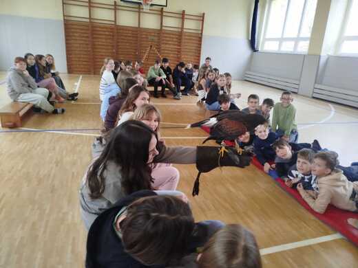 fd04784e-4d84-4ad6-b3bf-8edb383f69d1.jfif