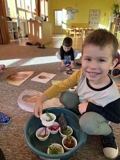 Hledáme potravu pro lesní zvířátka.jpg