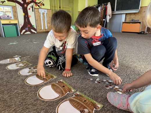 Houby - geometrické tvary.jpg