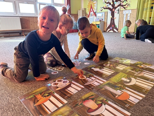 Houby - rozlišování 2.jpg