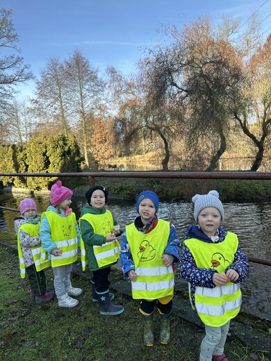 Krmení kachen 2.jpg