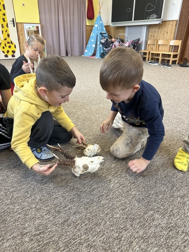 Lesobjevování - za lesní zvěří s myslivečkem 7.jpg