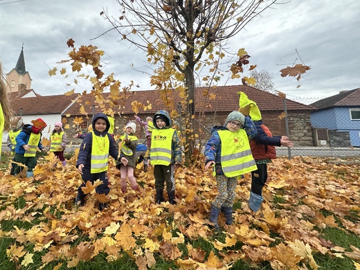 PV - hrátky s listím 3.jpg