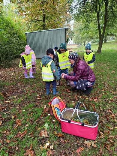 Sbírání kaštanů.jpg