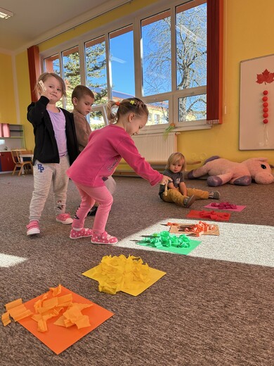 Smyslová hra - třídění listů.jpg