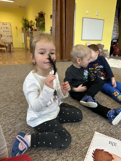 Smyslové vnímání - poznáváme zvířátka.jpg