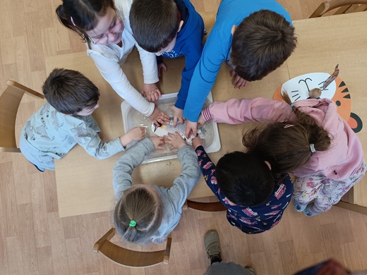 Tučňák v ledu.jpg