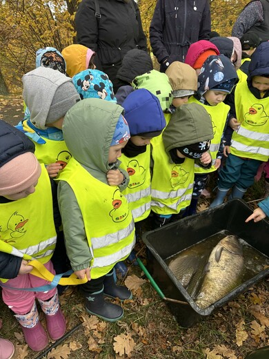 Výlov - ukázka ryb.jpg