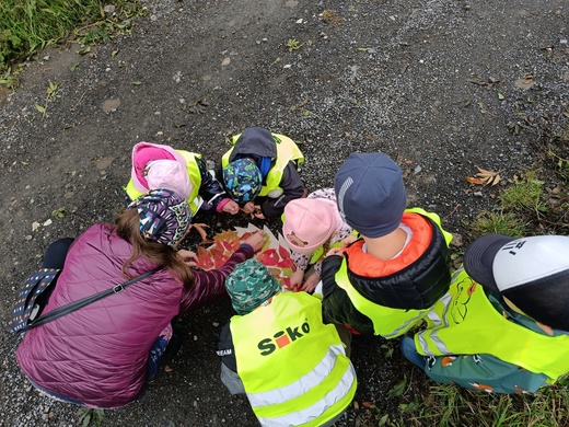 Výroba ježečka z listů.jpg