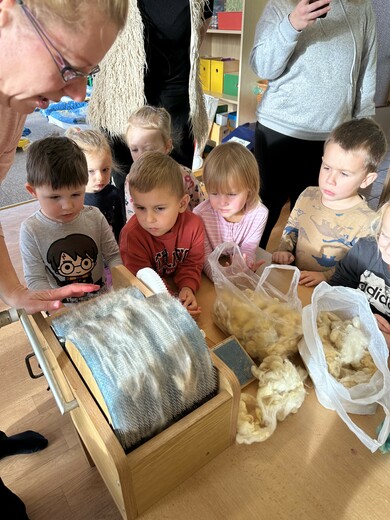 Výukový program o ovečkách.jpg