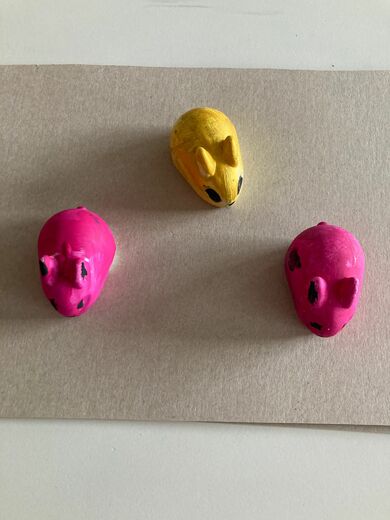 WhatsApp Image 2026-04-12 at 16.14.26 (1).jpeg