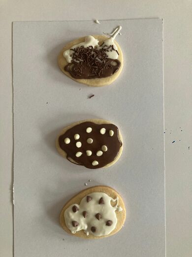 WhatsApp Image 2026-04-12 at 16.17.16 (3).jpeg