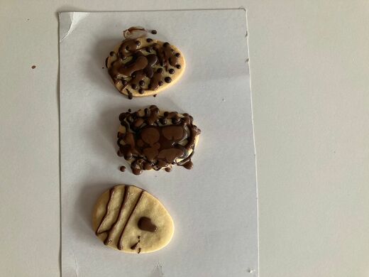 WhatsApp Image 2026-04-12 at 16.17.16 (4).jpeg