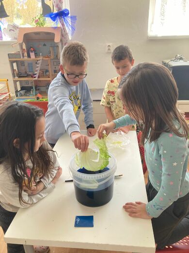 WhatsApp Image 2026-04-26 at 15.05.11 (1).jpeg