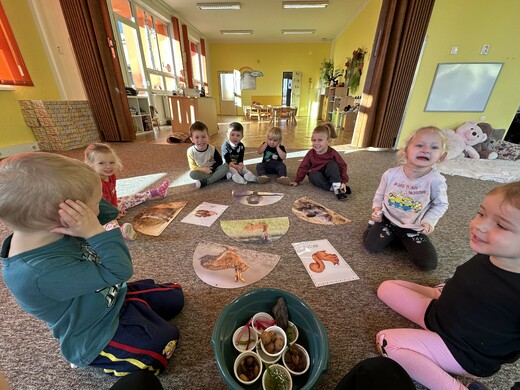 Za lesními zvířátky 2.jpg