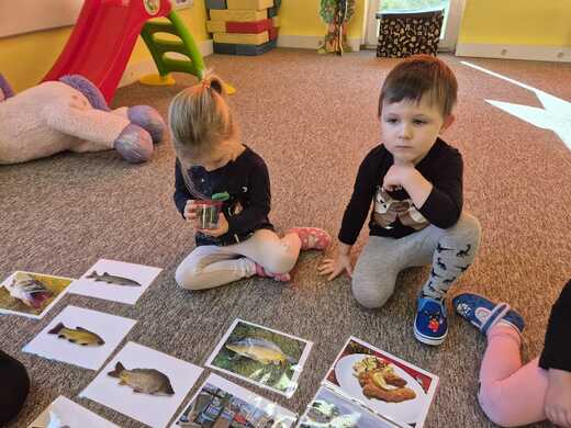 Zkoumáme rybí šupiny.jpg